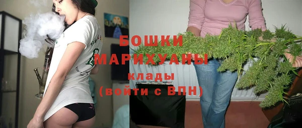 дурь Богданович